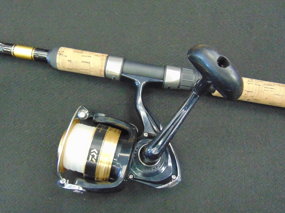 All About Fish-拉海纳必去景点