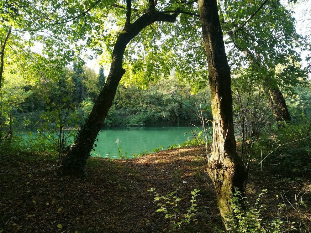 Parco Gianpiero Metelli景点图片