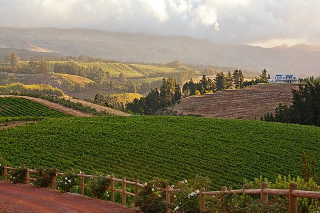 Oneiric Wines-Elgin必去景点