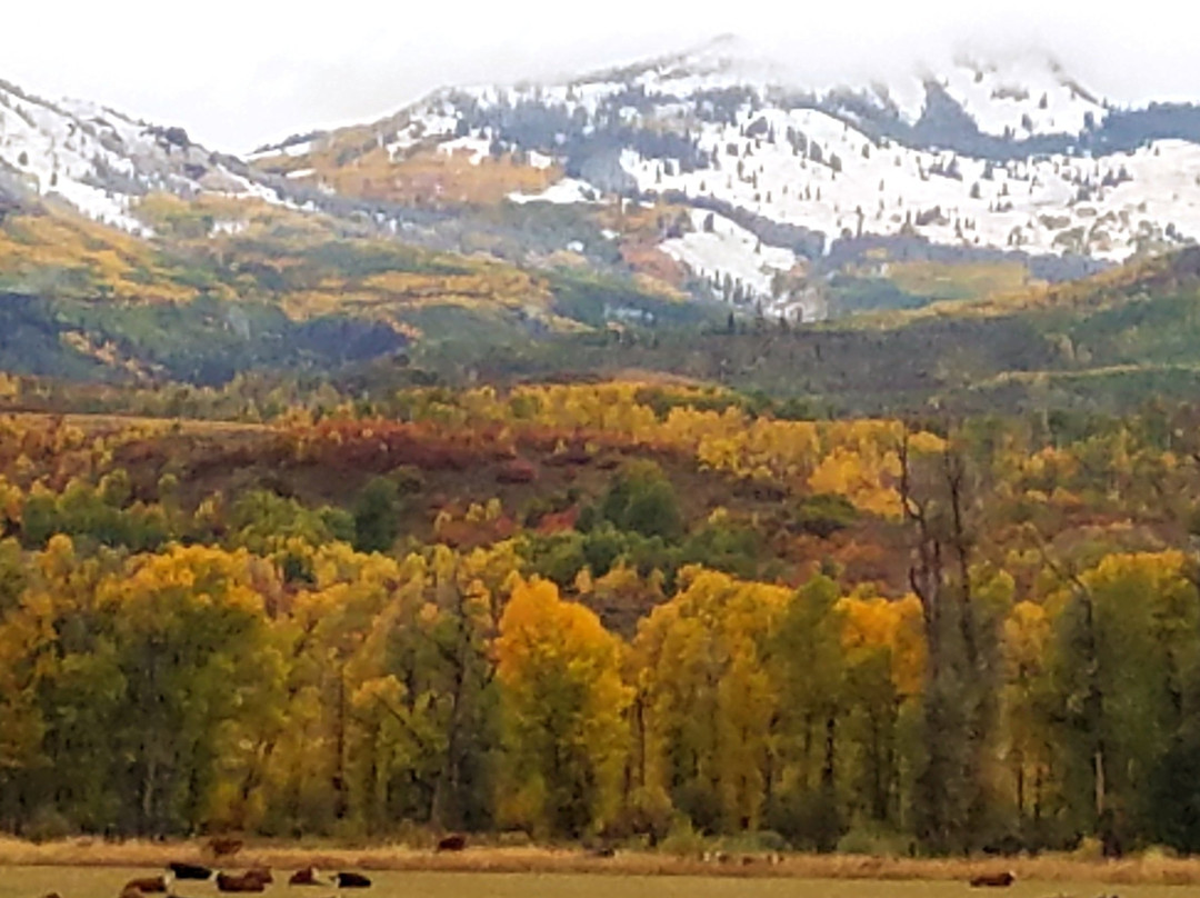 Glen Eden Resort主图