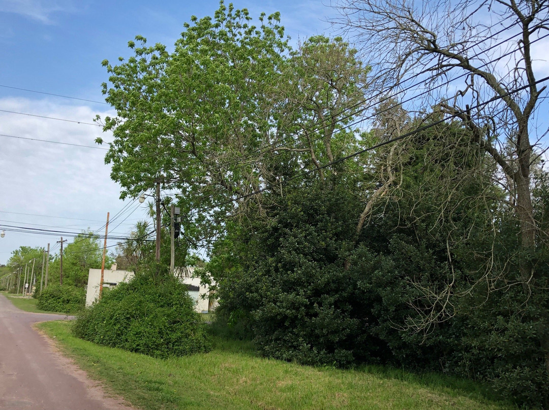 Parque las Naciones-Guernica必去景点