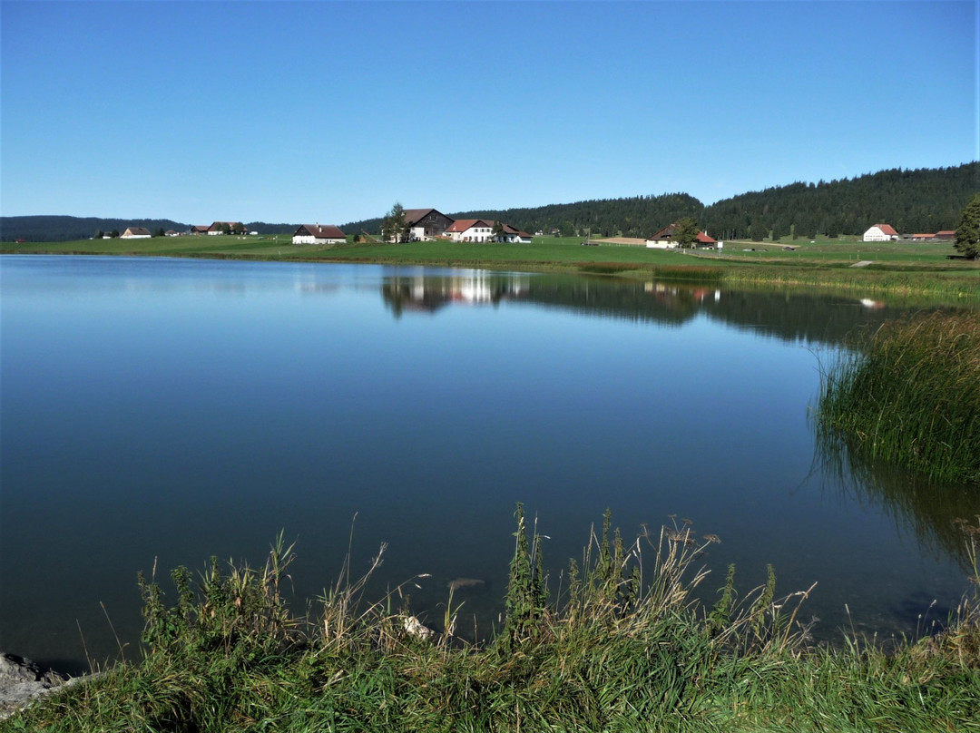 Lac des Taillères景点图片