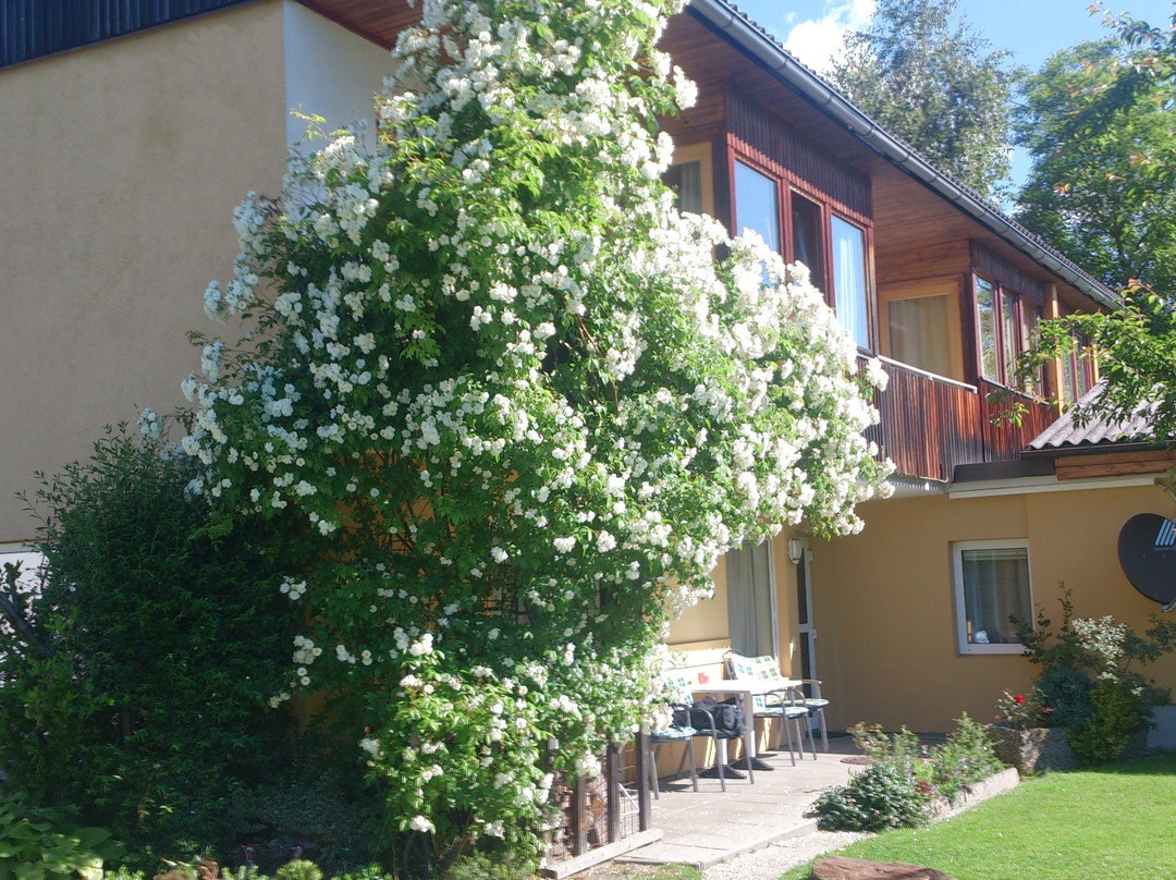 Ferienwohnungen Vidoni主图