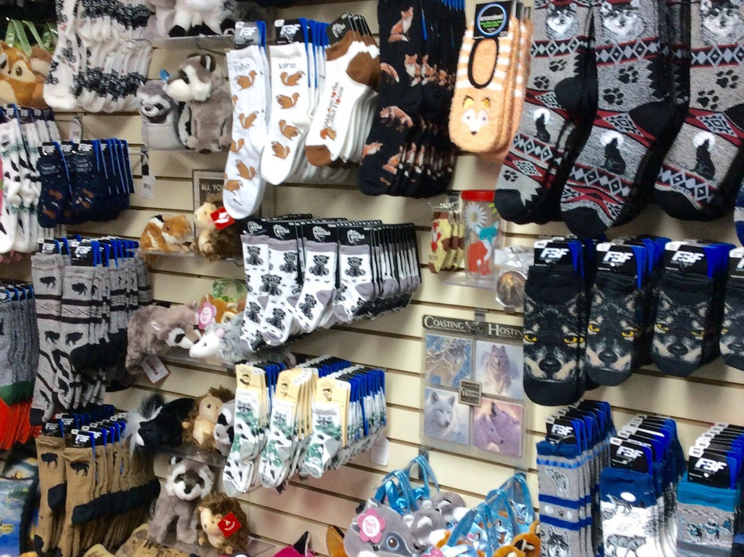 For Bare Feet-埃斯蒂斯公园必去景点