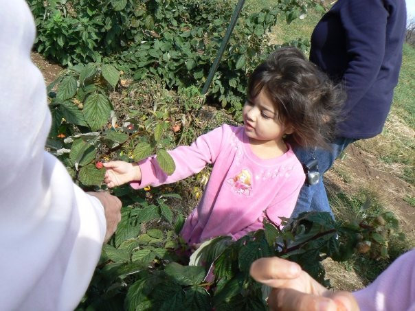 Hartland Family Orchard景点图片
