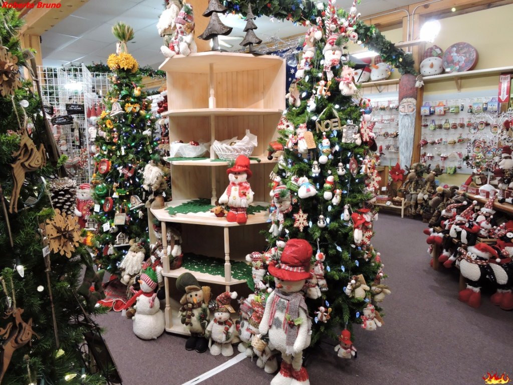 Christmas Village Store-拉皮德城必去景点