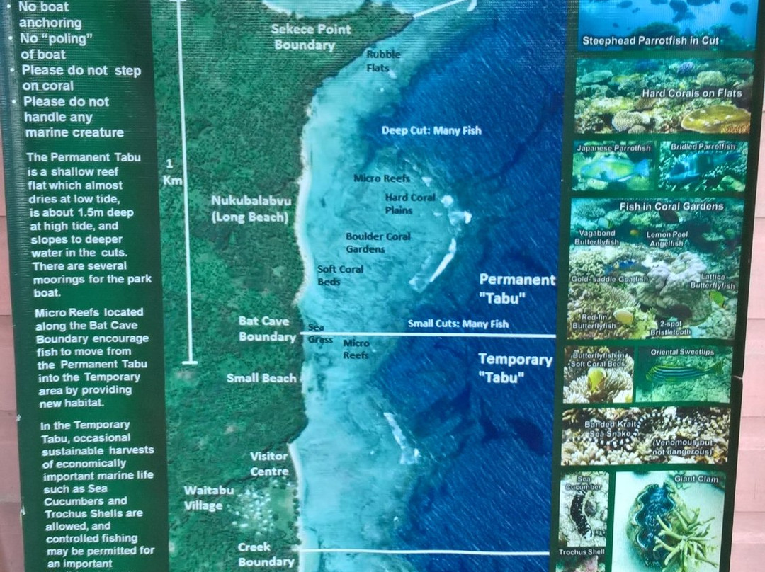 Waitabu Marine Park-塔韦乌尼岛必去景点