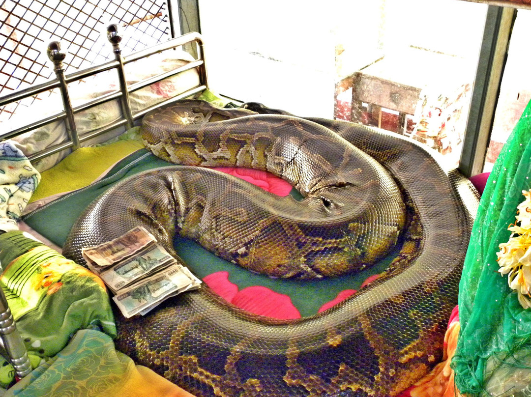 Snake Pagoda