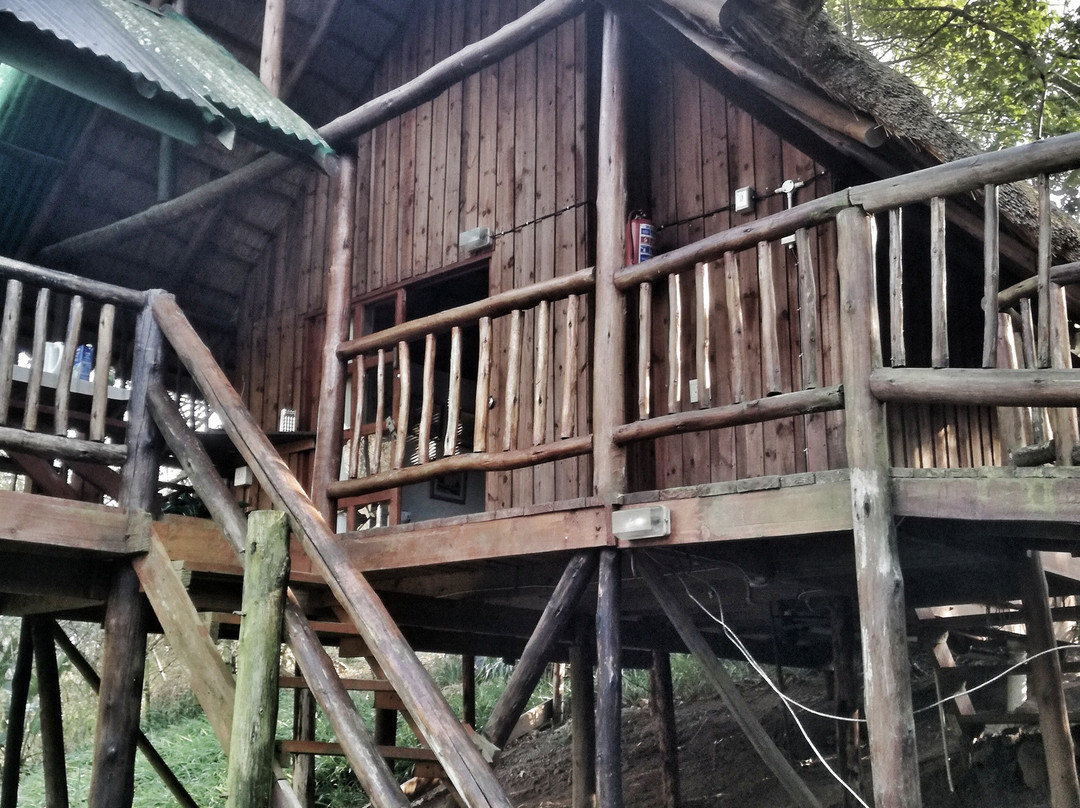 Treehouse River Lodge Spa景点图片