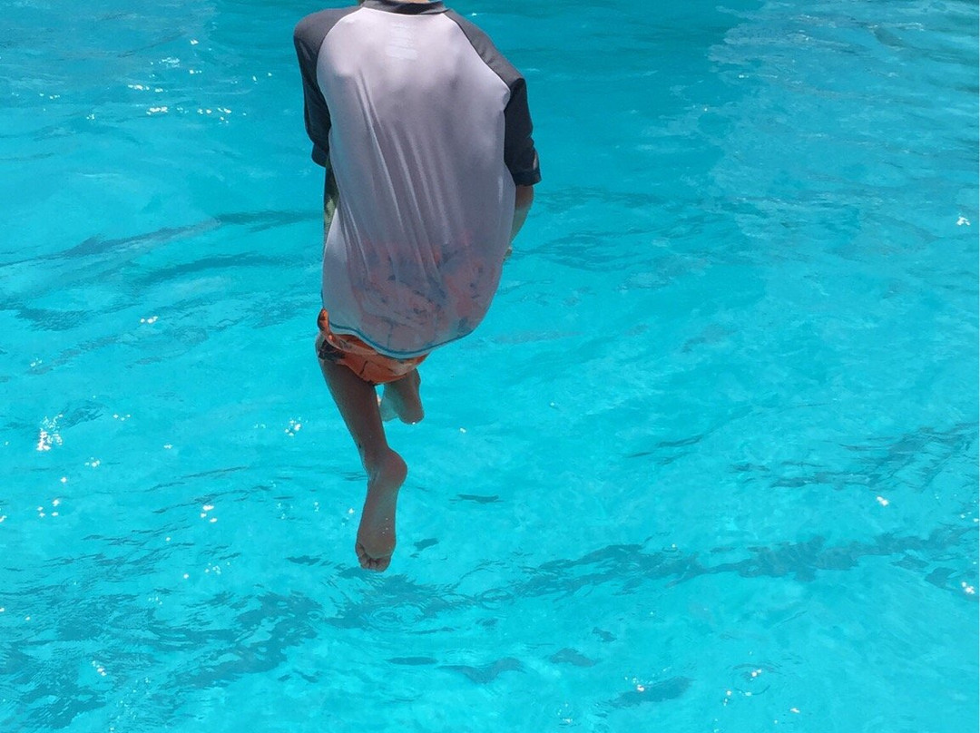 Collinsville Aqua Park-科林斯维尔必去景点