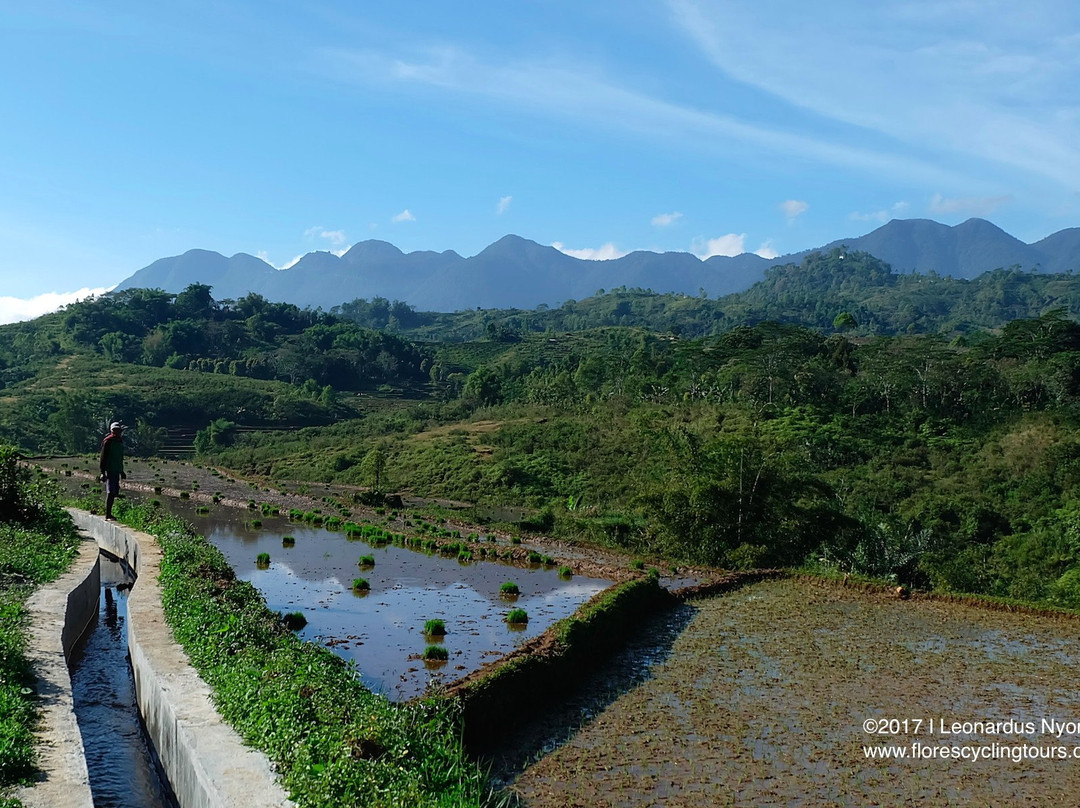 Flores Cycling Tours-Ruteng必去景点