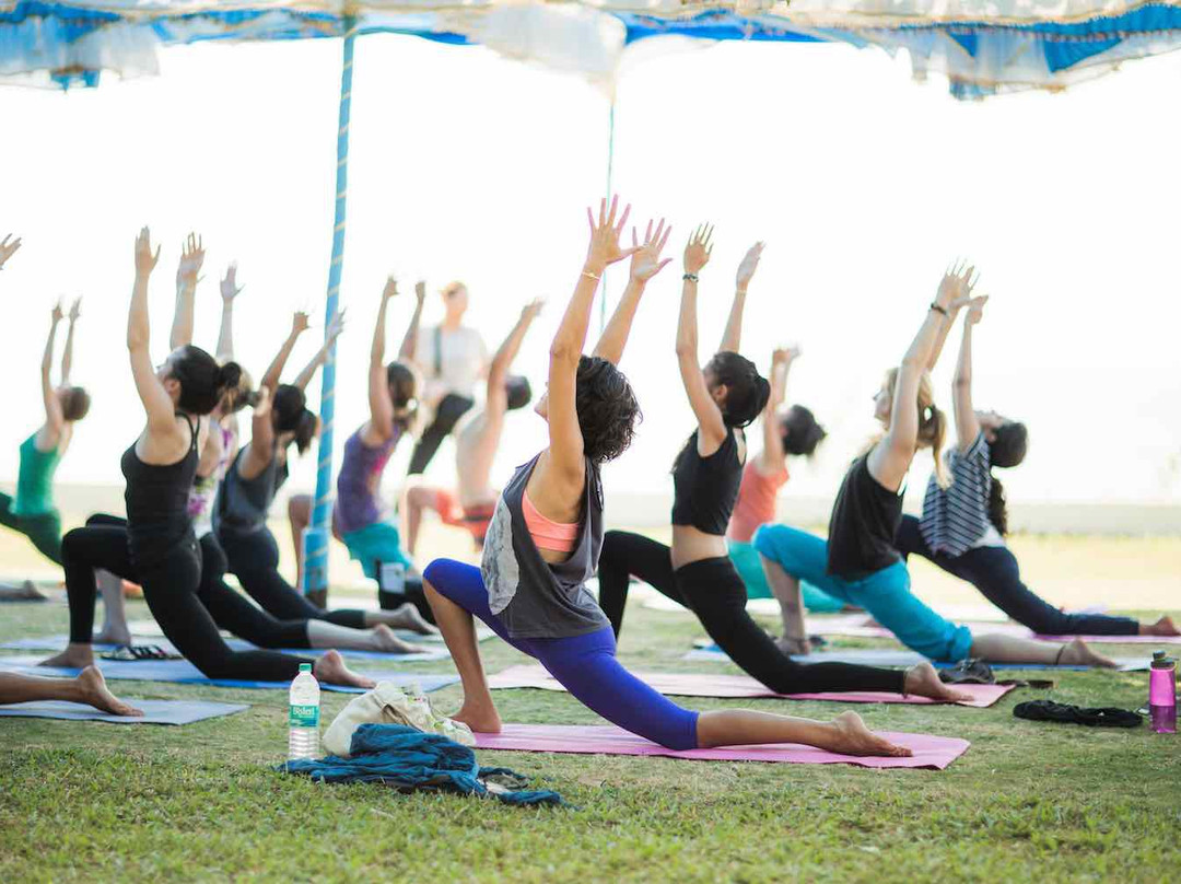 Yoga Teacher Training with Noah Mckenna景点图片