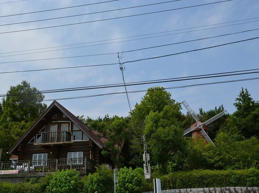 Kitajima Tulip Park-北岛町必去景点