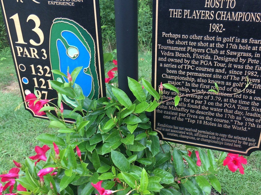 Renditions Golf Club景点图片