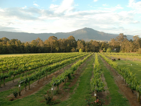 Kenny Escapes-悉尼必去景点