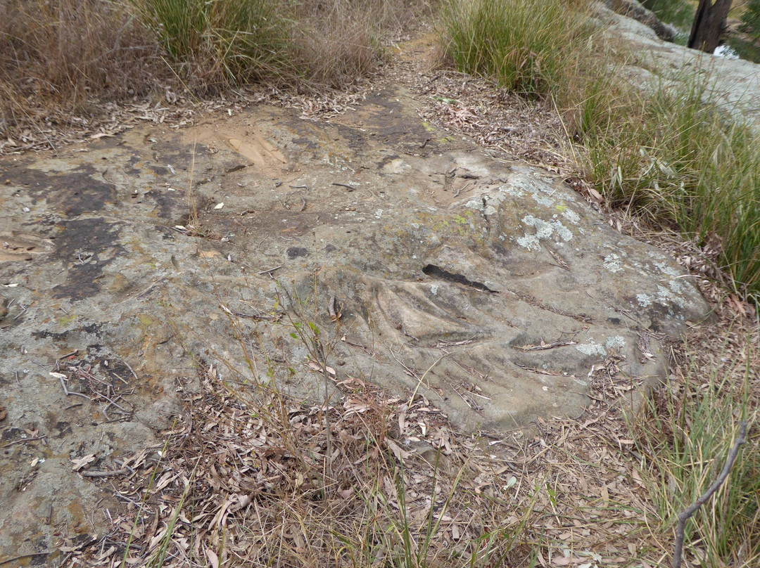 Terramungamine Reserve and Rock Grooves-达博必去景点