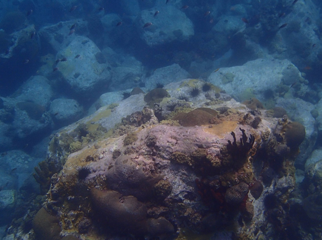 JC Ocean Adventures-Cabrits National Park必去景点