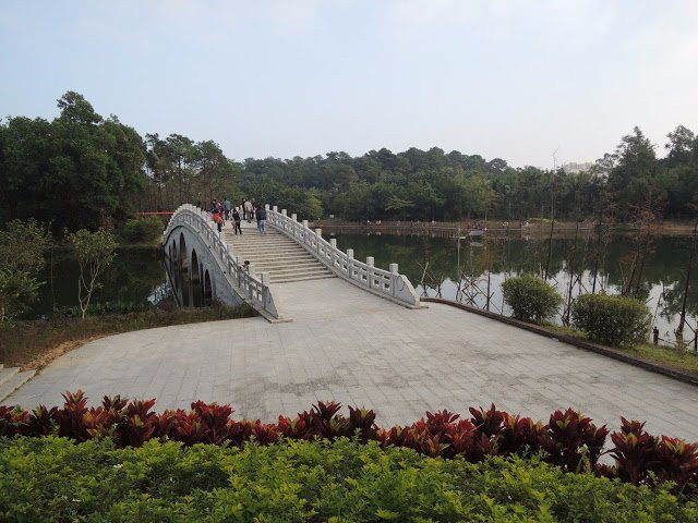 金山森林公园景点图片