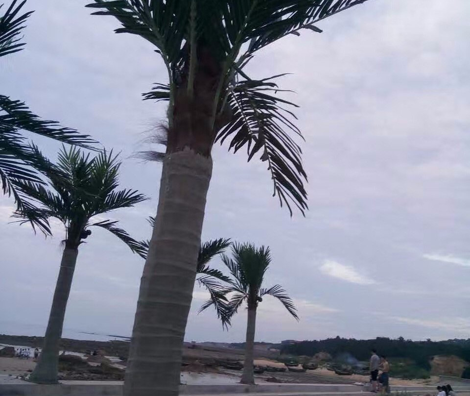 琅琊台风景区-胶南市必去景点