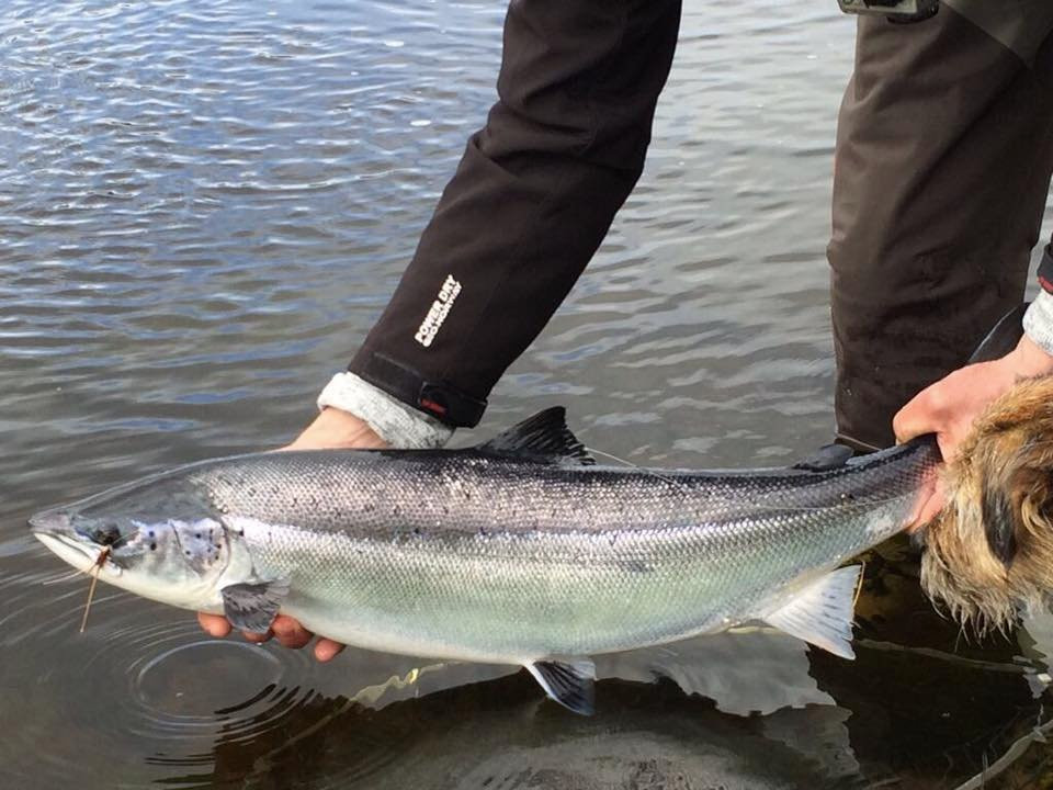 Fishing Trip Scotland景点图片