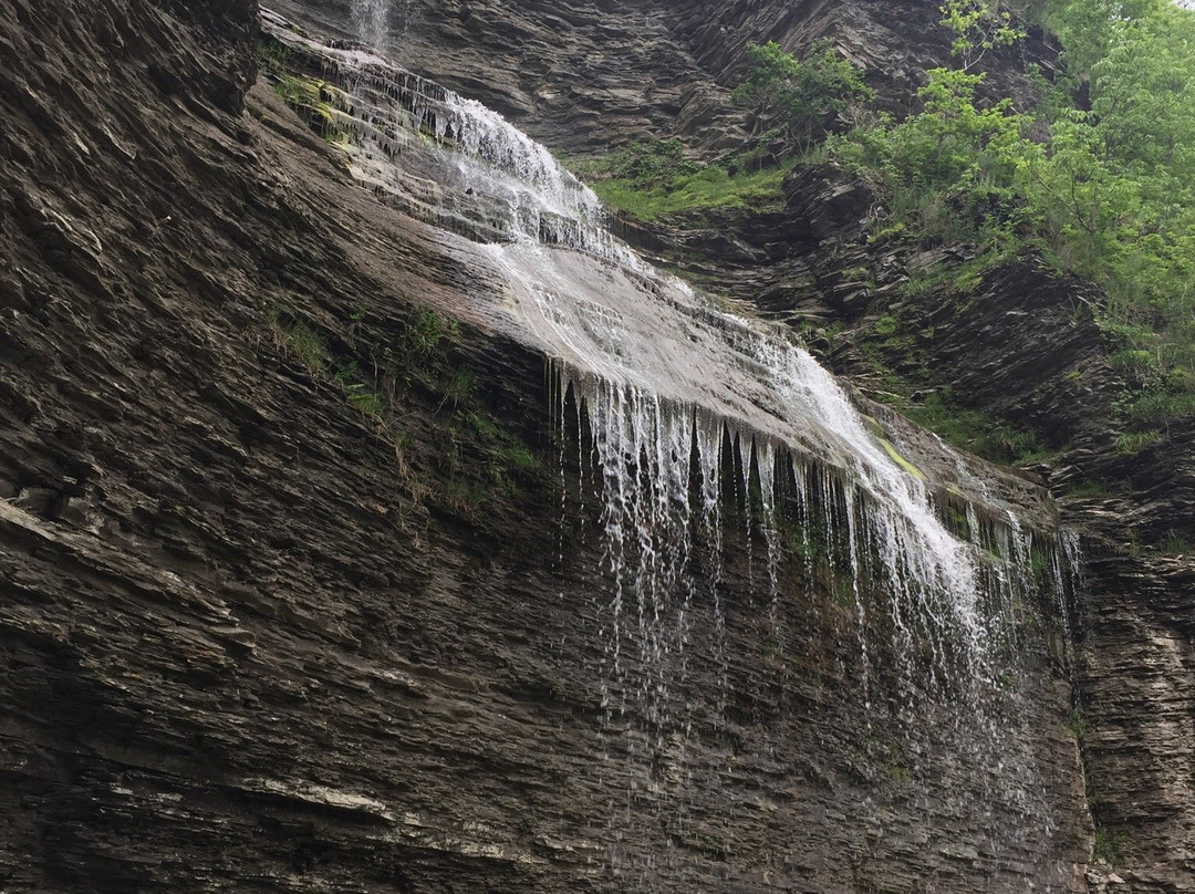 Aunt Sarah's Falls景点图片
