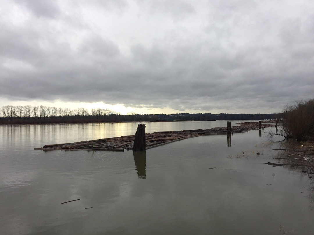 Peace Park-高贵林港必去景点