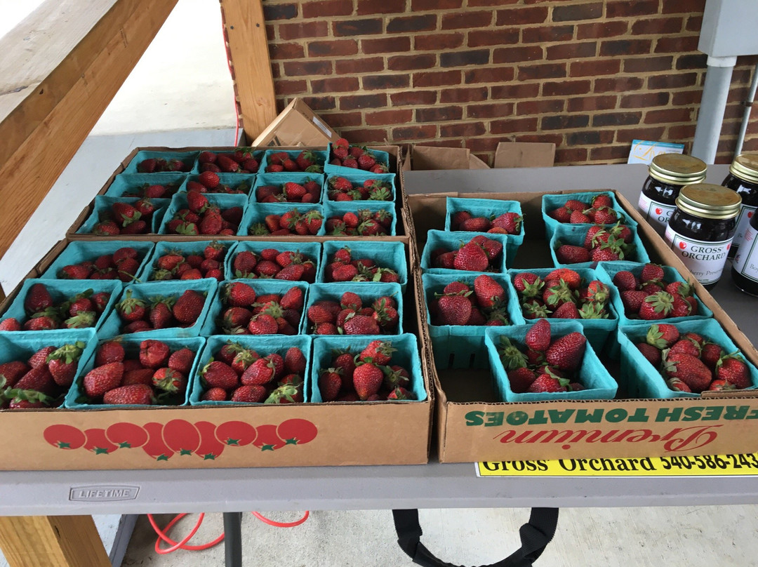 Bedford Farmers Market-Bedford必去景点
