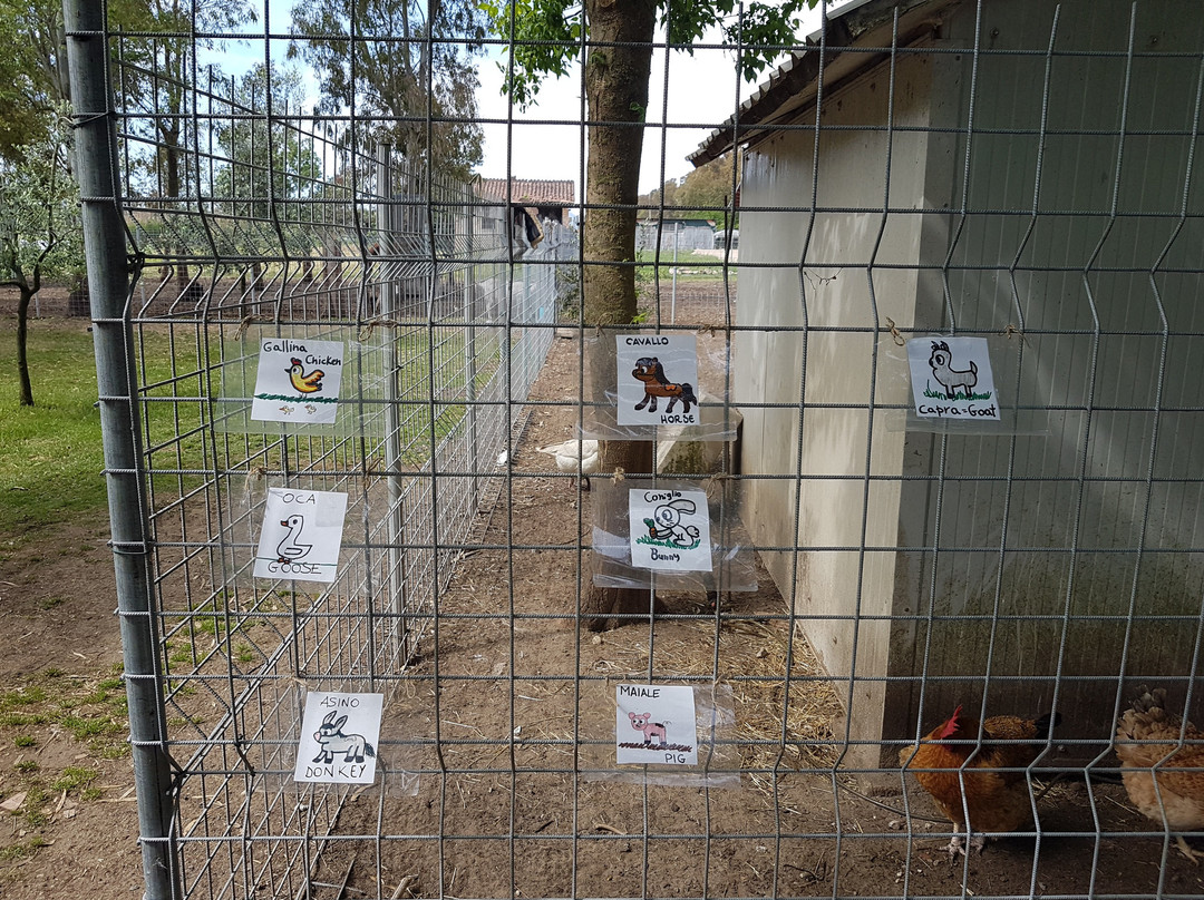 Al Boschetto-Borgo Hermada必去景点