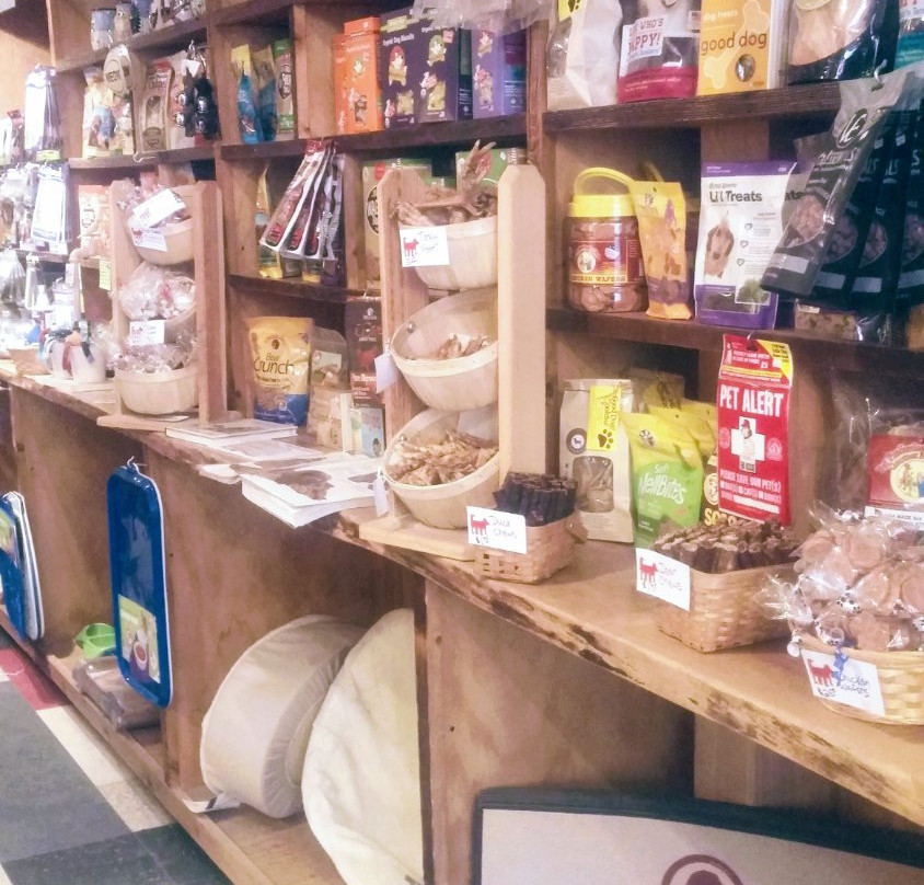 The Quirky Pet-蒙彼利埃必去景点