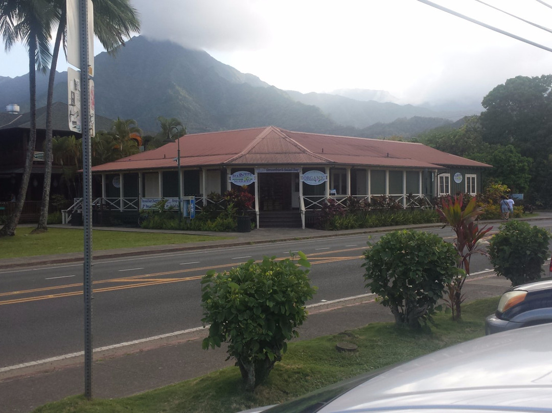 Harvest market-哈纳雷伊必去景点