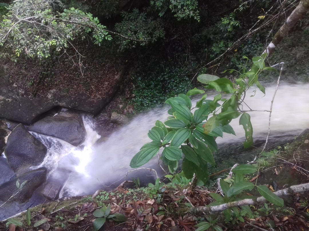 Cachoeira Salto do Ipy-Presidente Figueiredo必去景点