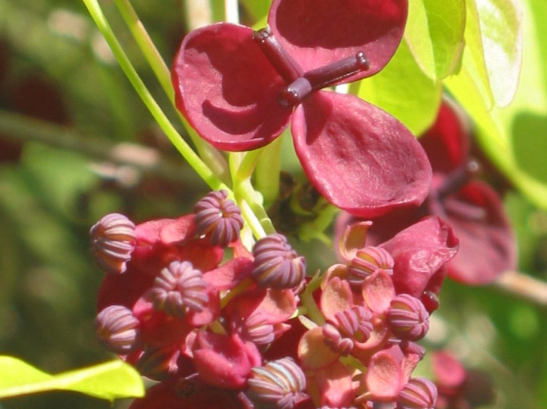 Arboretum National des Barres-Nogent-sur-Vernisson必去景点