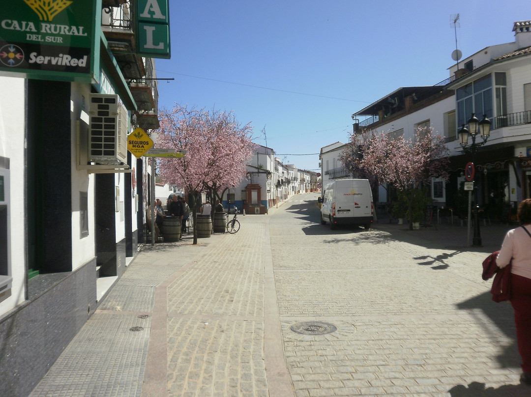Plaza de la Salud景点图片