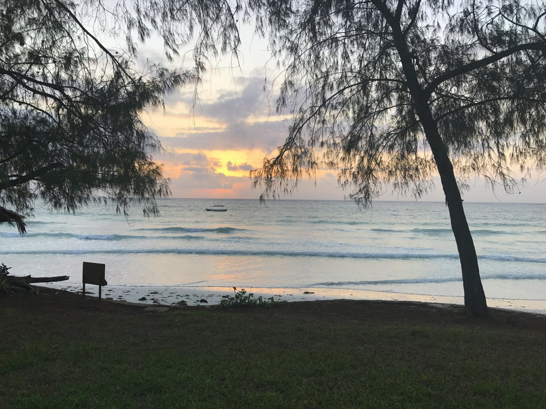 It Started in Africa-Marangu必去景点