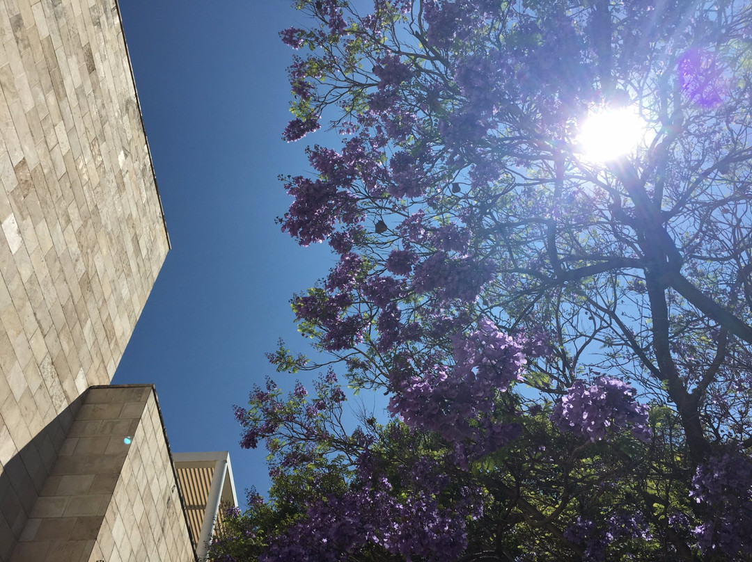 Forum Cultural Guanajuato-利昂必去景点