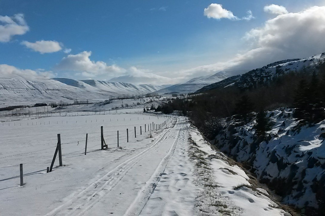 Estuary of the river Eyjafjardará-阿克雷里必去景点