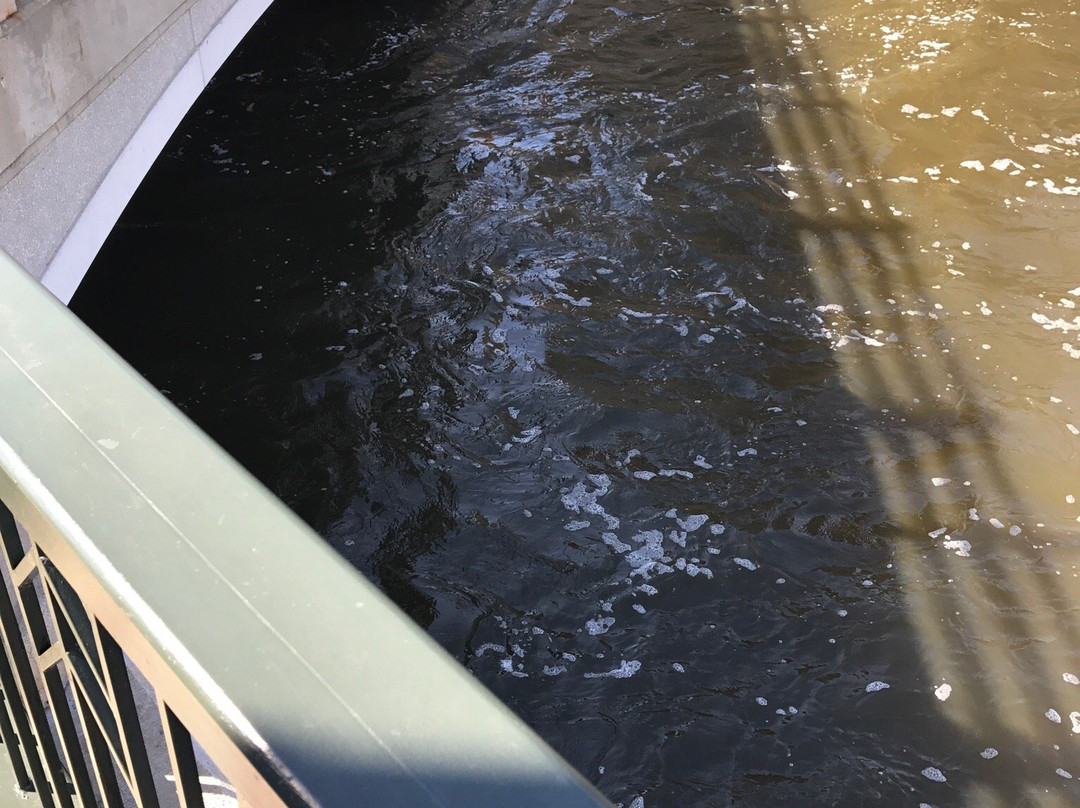 Downtown St. Charles-圣查尔斯必去景点