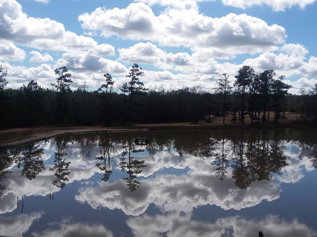 tHE PARK