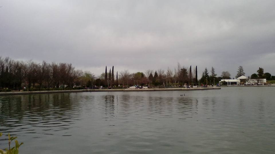 Parque Municipal Juan Carlos I-品度必去景点