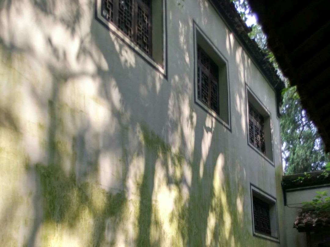 桐君山景点图片