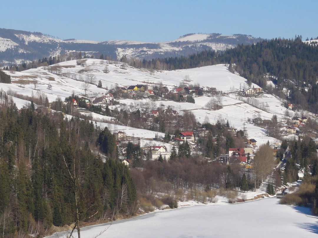 null-Wisla