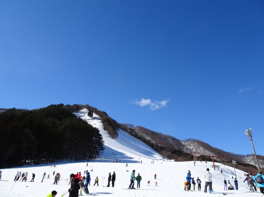 O-Ana Ski Resort景点图片