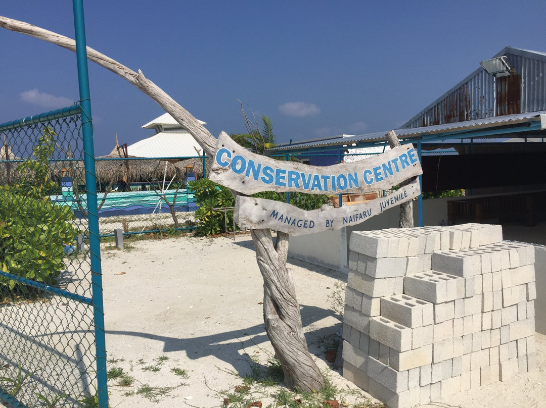 Tiny Island Marine Conservation Centre-拉薇亚妮环礁必去景点
