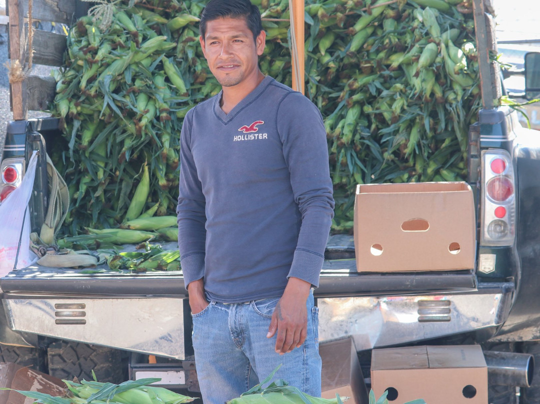 Immokalee State Farmers' Market-Immokalee必去景点