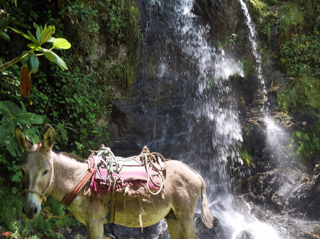 Finca Verde-Vilcabamba必去景点