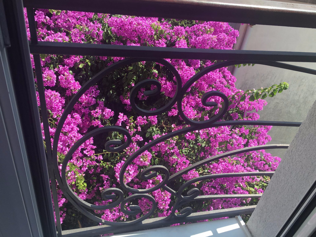 Igalo酒店住宿-米亚尼克公寓