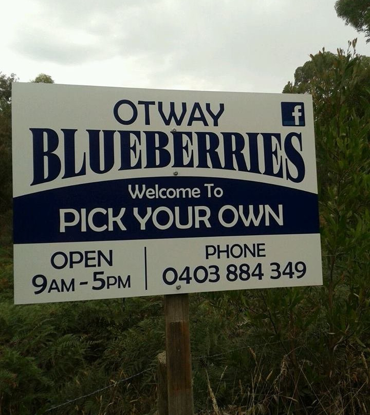 Otway Blueberries-Gellibrand必去景点