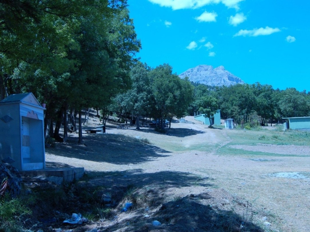 Kocakoru Ormani Tabiat Parki景点图片