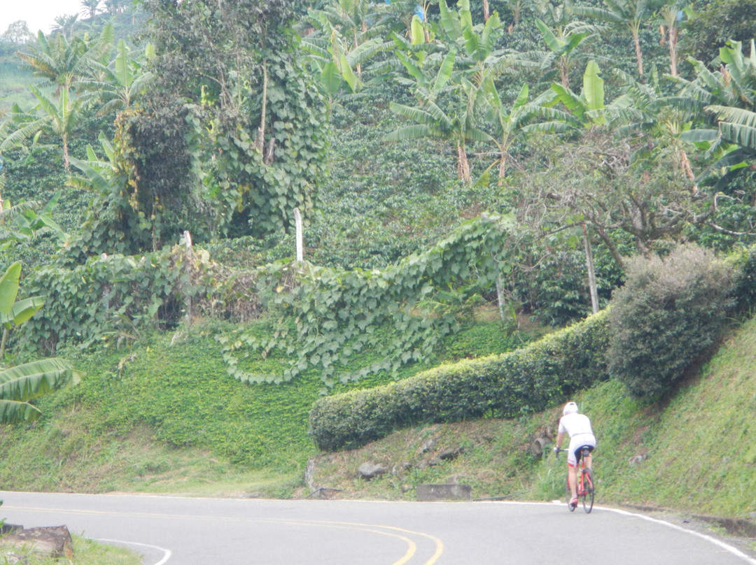 Bicitravel-波哥大必去景点