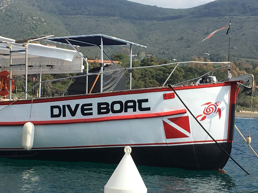 Baiarda Dive Boat Excursions景点图片